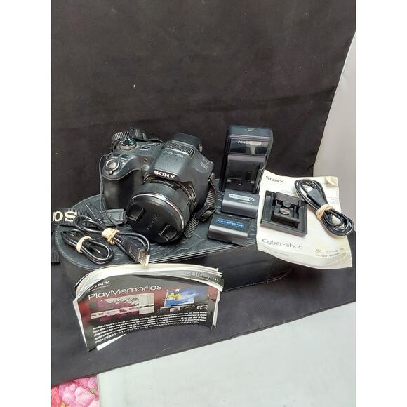 SONY Cyber-Shot DSC-HX100V 16.2MP Digital Camera 30X Zoom Great Camera